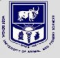 West Bengal University of Animal and Fishery Sciences